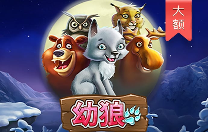 艾尚体育官网登录入口